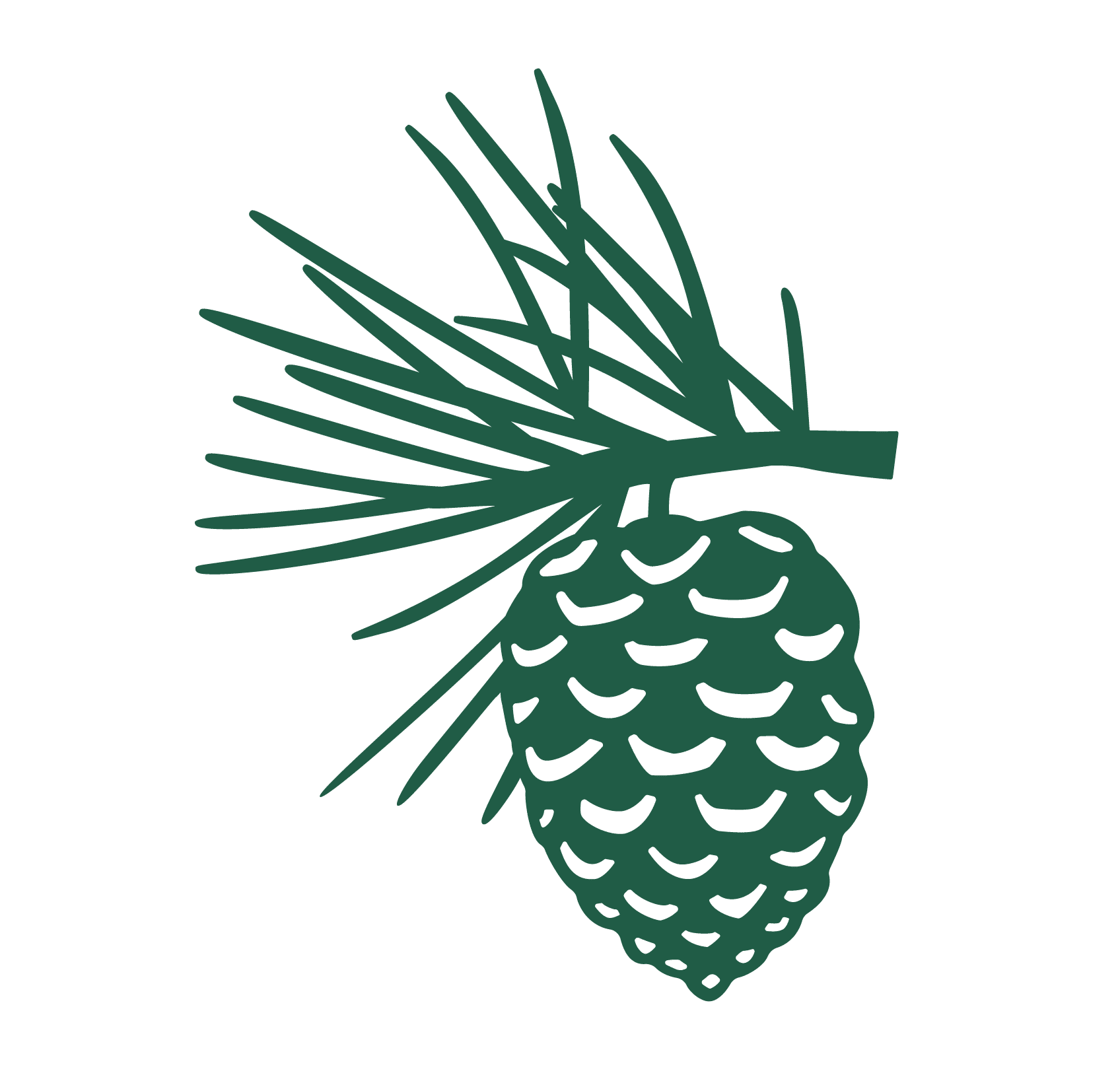 AGEM_Kensington-Evergreen_Elements_RGB_Pinecone Branch-Green AGEM_Kensington-Evergreen_Elements_RGB_Pinecone Branch-Green